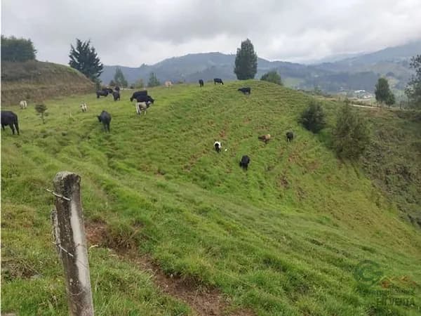 Finca rústica de 0,7015 ha en venta en Antioquia