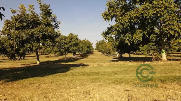 Finca agrícola de 15 ha en venta en Zaragoza