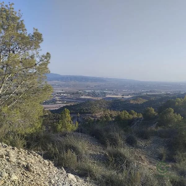 Finca rústica de 142 ha en venta en Totana, Murcia