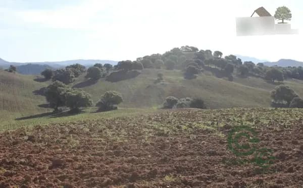 Finca rústica de 300 ha en venta en Sevilla
