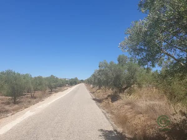 Finca rústica de 0,95 ha en venta en Biar, Alicante