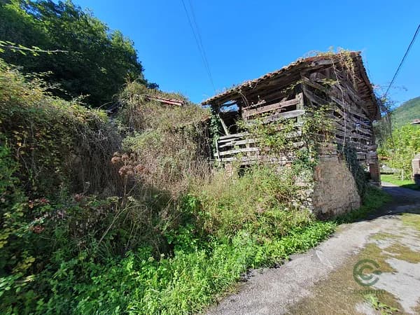 Casa de 0,01 ha en venta en Belmonte de miranda, Asturias