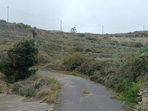 Finca agrícola de 0,3 ha en venta en Tenerife