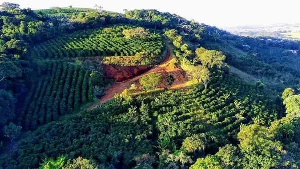 Fazenda agrícola de 6,29 ha para venda em Minas gerais