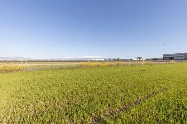 Finca agrícola de 0,4197 ha en venta en Chauchina, Granada