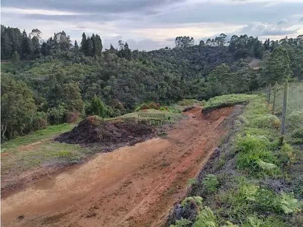 Terreno urbano de 1288 ha en venta en Antioquia