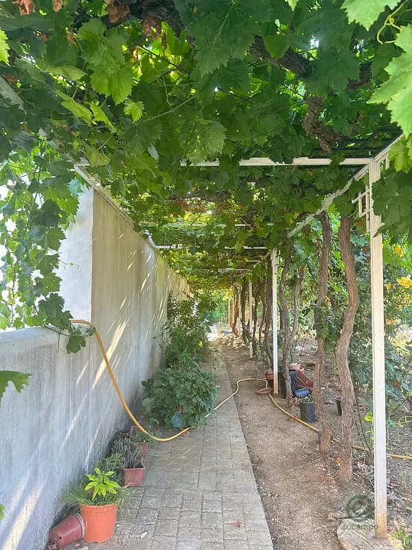 Finca rústica de 45 ha en venta en Sevilla