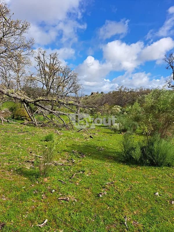 Finca rústica de 134 ha en venta en Valencia de alcántara, Cáceres