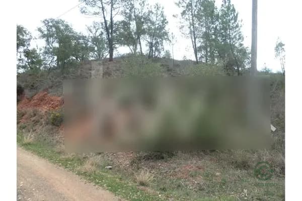 Fazenda rustica de 0,597 ha para venda em Faro