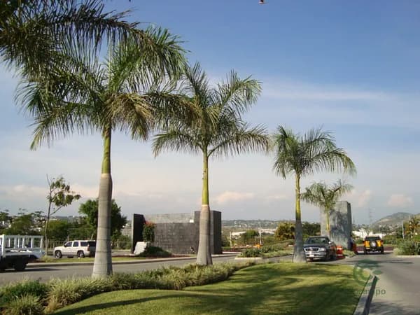 Terreno urbano de 0,05 ha en venta en Morelos