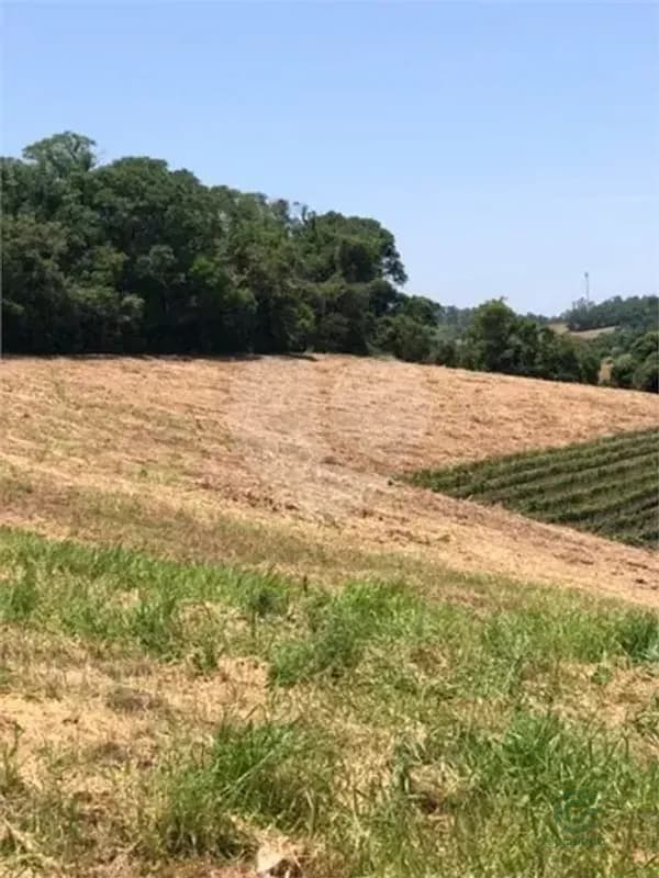 Fazenda rustica de 2,01 ha para venda em São paulo