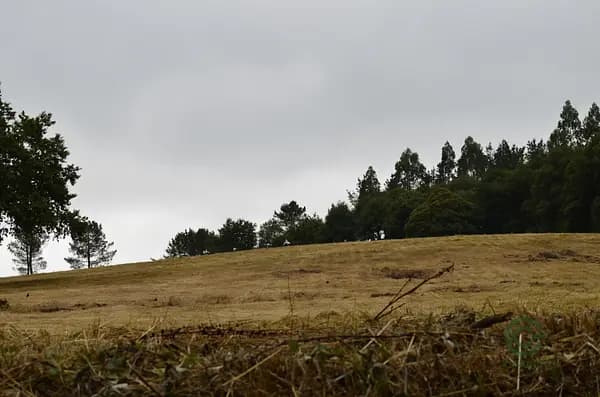 Finca rústica de 10,76 ha en venta en Pontevedra