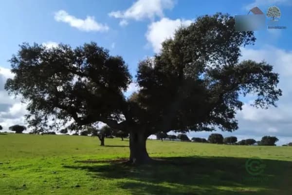 Finca ganadera de 47 ha en venta en 