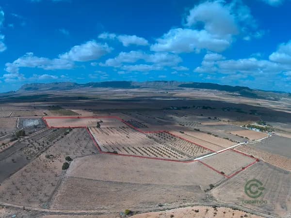 Terreno urbano de 6,12 ha en venta en Murcia