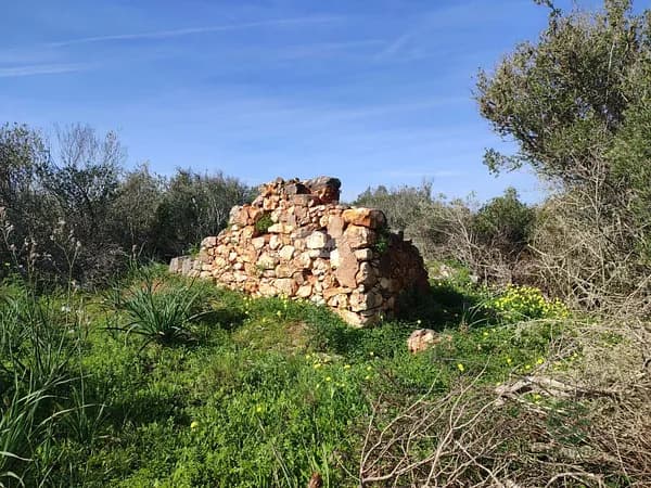 Finca agrícola de 0,46 ha en venta en Vila do bispo, Algarve