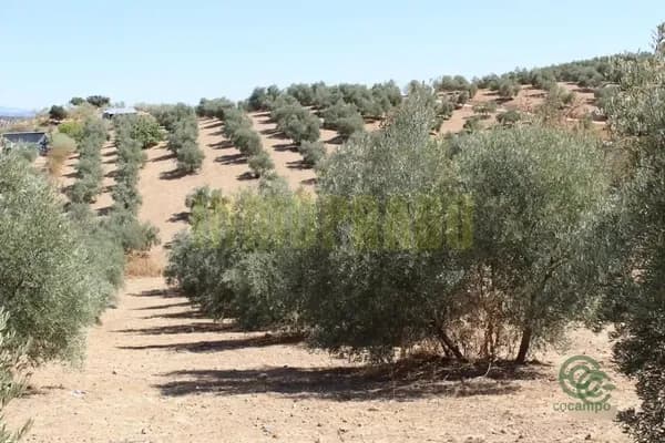 Finca agrícola de 0,9 ha en venta en Villanueva de tapia, Malaga