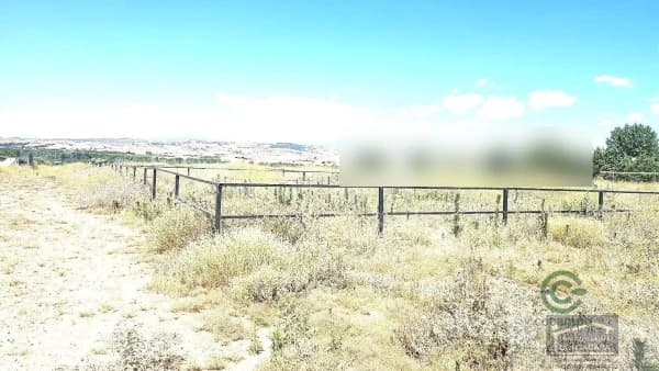 Finca rústica de 1,5 ha en venta en Talamanca de jarama, Madrid
