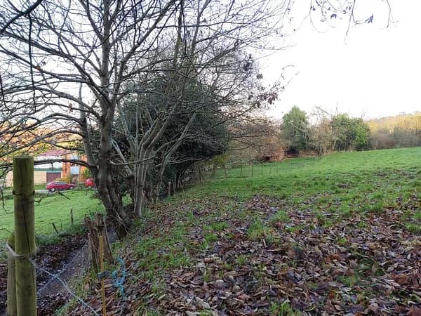 Finca rústica de 0,5552 ha en venta en Oviedo, Asturias
