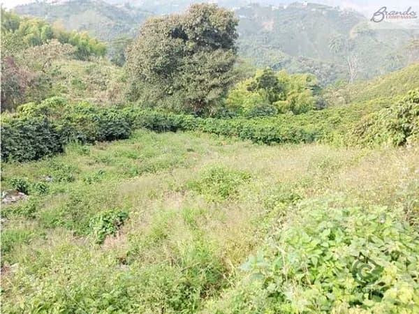 Terreno urbano de 0,0404 ha en venta en Caldas