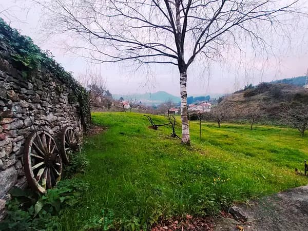 Finca rústica de 0,25 ha en venta en Asturias