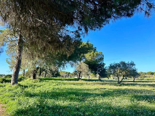 Finca agrícola de 4,3613 ha en venta en Villanueva de los castillejos, Huelva