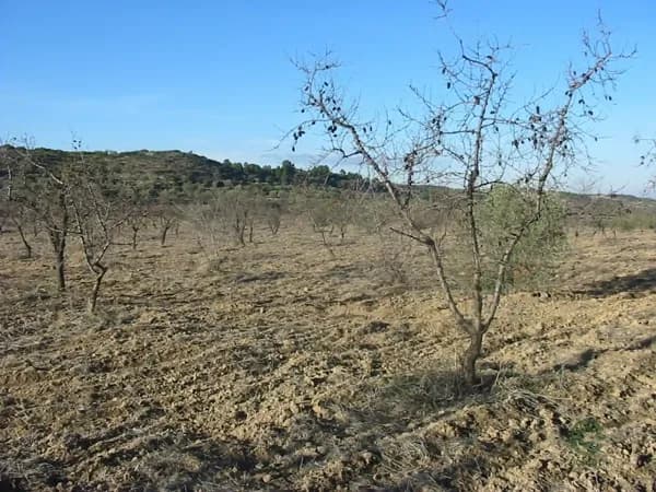 Finca agrícola de 0,68 ha en venta en Castelldans, Lleida
