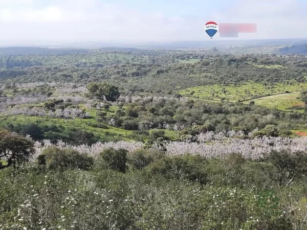 Finca rústica de 40 ha en venta en Alburquerque, Badajoz