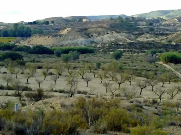 Finca rústica de 5 ha en venta en Murcia