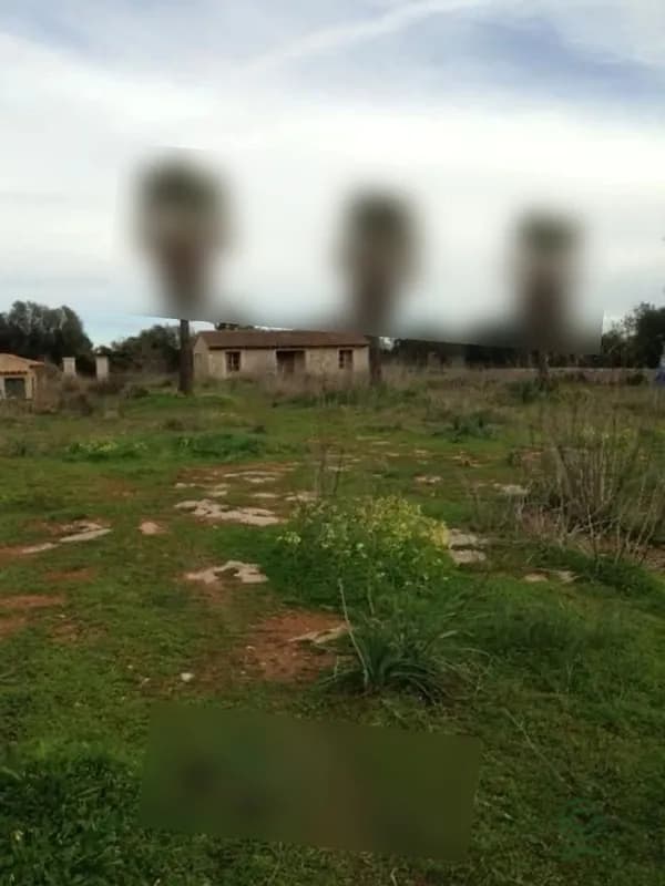 Finca rústica de 1,5 ha en venta en Porreres, Islas baleares