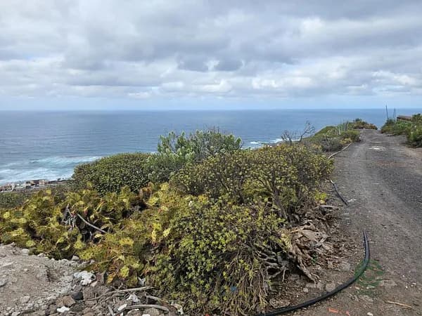 Finca agrícola de 0,1161 ha en venta en Arucas, Las palmas
