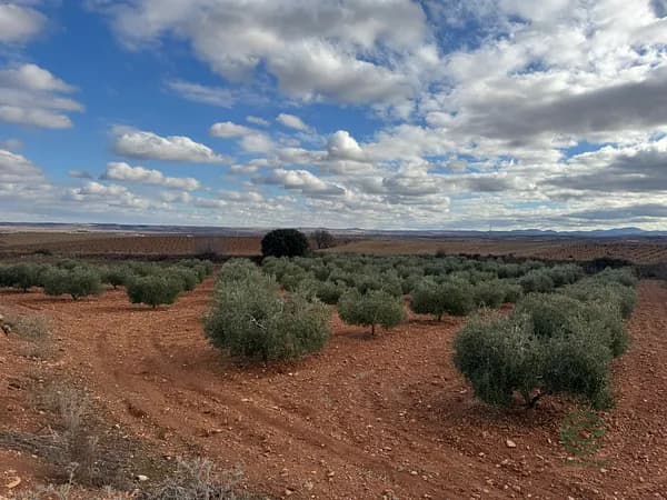 Finca agrícola de 0,51 ha en venta en Zaragoza