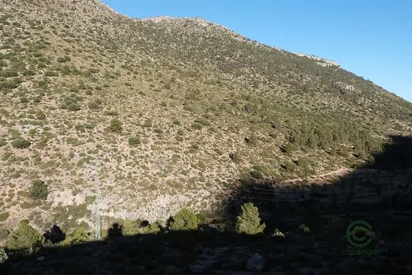 Finca rústica de 107,4 ha en venta en Puebla de don fadrique, Granada