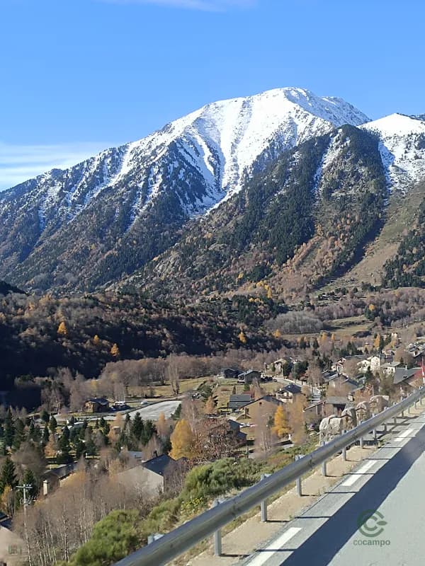 Georgi  Tihomirov Voychev 