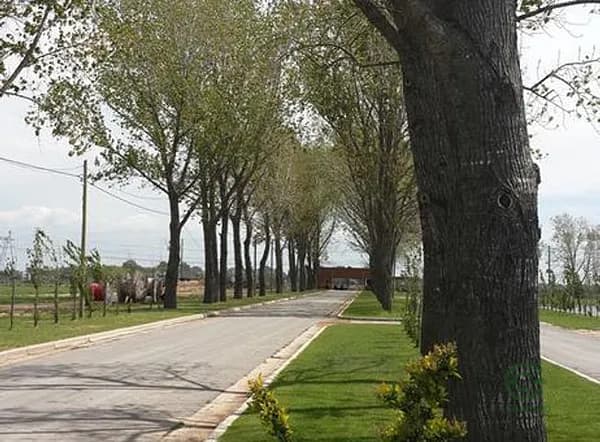 Terreno urbano de 0,0633 ha en venta en Buenos aires