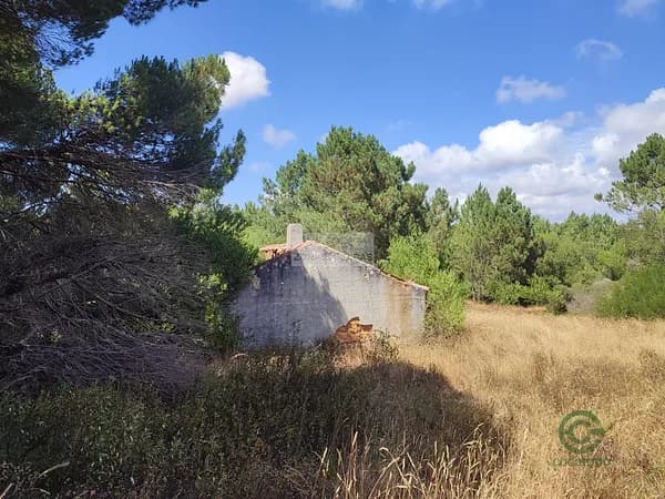 Finca rústica de 22,8 ha en venta en Aljezur, Algarve