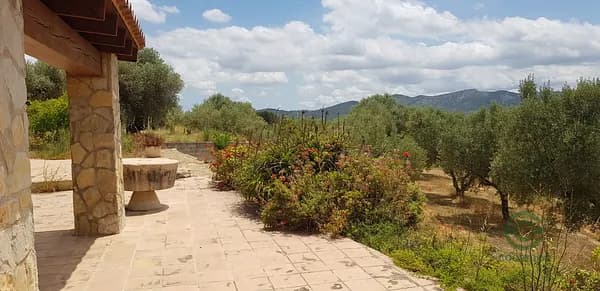 Finca rústica de 13 ha en venta en Castellón