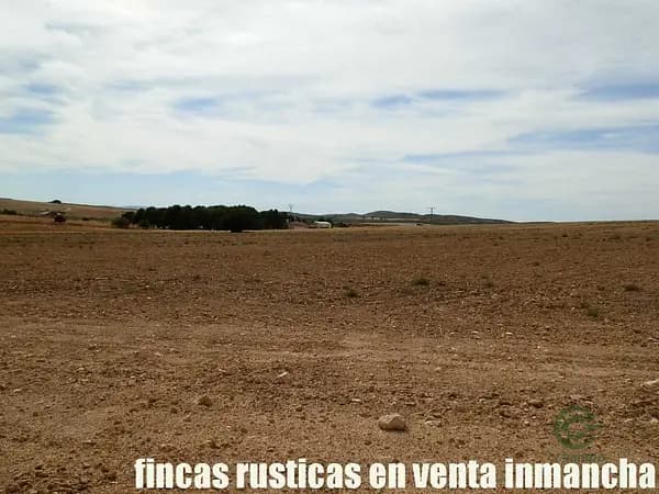 Finca agrícola de 220 ha en venta en Albacete
