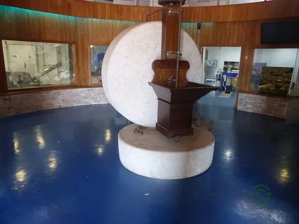 Agricultural property of 90 ha for sale in Tarragona