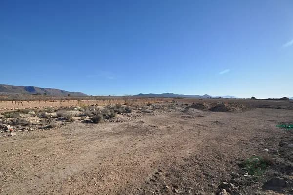 Finca rústica de 0,25 ha en venta en Pinoso, Alicante