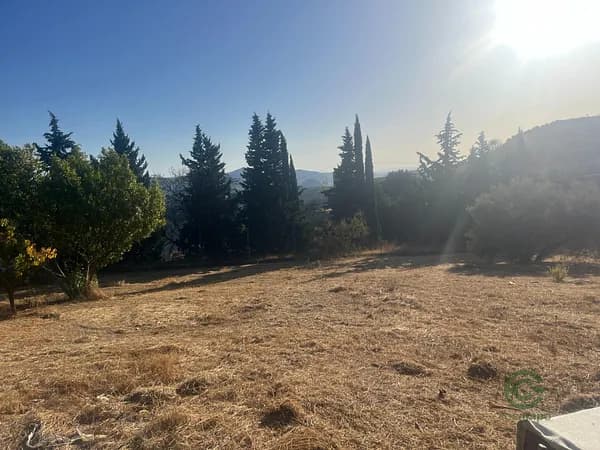 Finca rústica de 0,4156 ha en venta en Rute, Cordoba