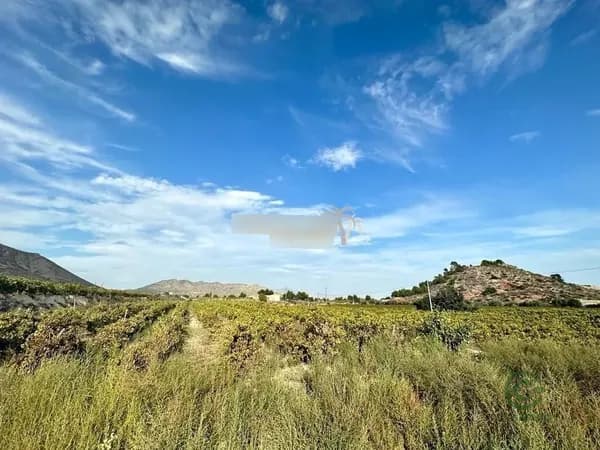 Finca agrícola de 1,4 ha en venta en La romana, Alicante
