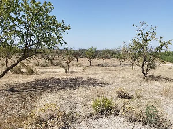 Finca agrícola de 1,11 ha en venta en Castelldans, Lleida