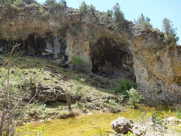 Finca rústica de 820 ha en venta en Cuenca