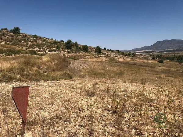 Terreno urbano de 1,18 ha en venta en Murcia