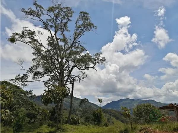 Terreno urbano de 0,2 ha en venta en Antioquia