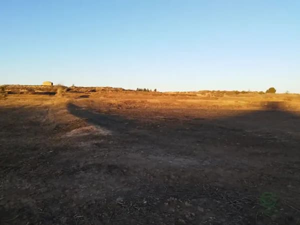 Finca agrícola de 2,9 ha en venta en Artesa de lleida, Lleida