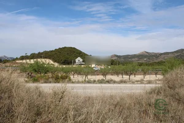 Finca agrícola de 3,0354 ha en venta en Sax, Alicante
