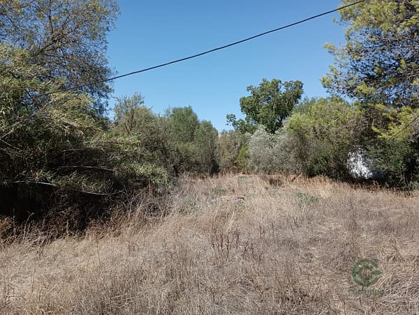 Finca rústica de 0,62 ha en venta en Cádiz