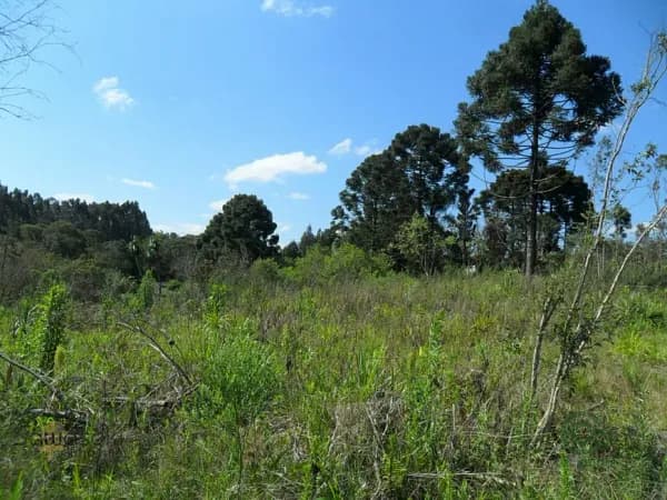 Fazenda agrícola de 4,84 ha para venda em Paraná