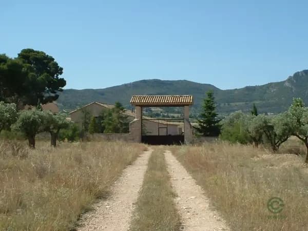 Finca rústica de 15 ha en venta en Alicante
